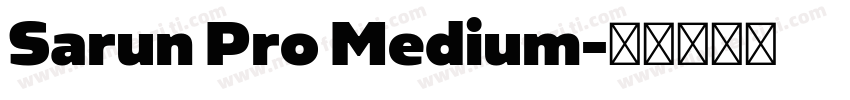 Sarun Pro Medium字体转换